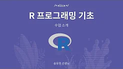 R 프로그래밍 기초